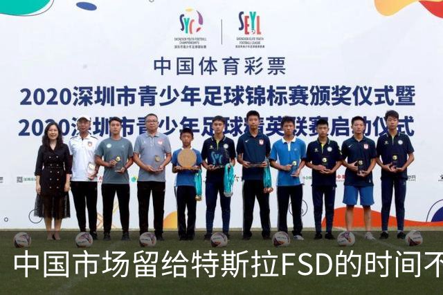 中国市场留给特斯拉FSD的时间不多了？