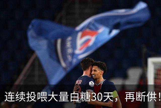 连续投喂大量白糖30天，再断供！国外网红扮“蚂蚁天神”整蛊野生蚁群