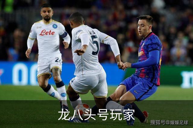 龙八头号玩家团队与服务环境